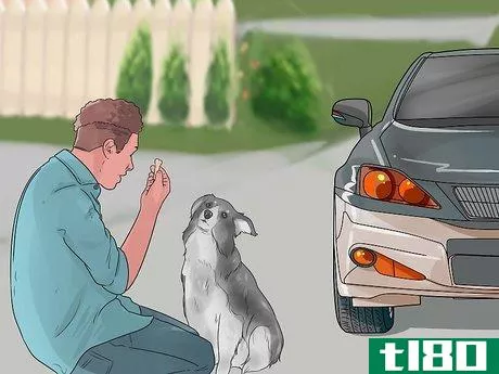 Image titled Deal With Your Dog's Fear of Vehicles Step 13