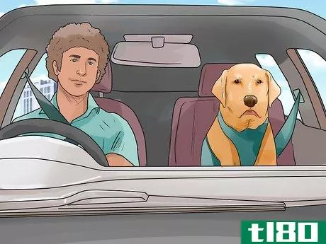 Image titled Deal With Your Dog's Fear of Vehicles Step 10