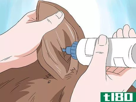 Image titled Deal with Hair Loss in Cats Step 15