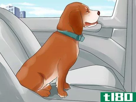 Image titled Deal With Your Dog's Fear of Vehicles Step 14