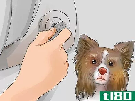 Image titled Deal With Your Dog's Fear of Vehicles Step 15