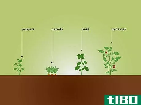Image titled Choose Plants for a Garden Step 15