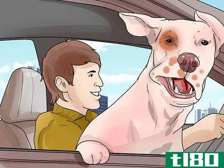 Image titled Deal With Your Dog's Fear of Vehicles Step 18