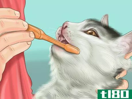 Image titled Deal with Tooth Resorption in Cats Step 1