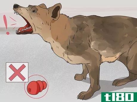 Image titled Deal with Aggressive Dogs when They Fight Step 9