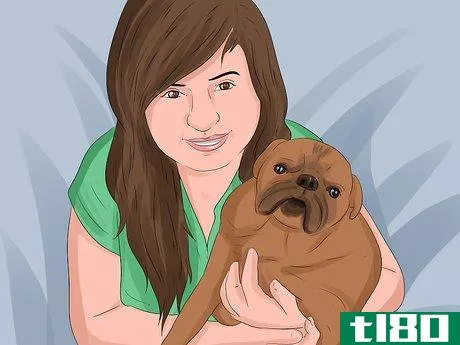 Image titled Decide Who Gets the Pet in a Divorce Step 3