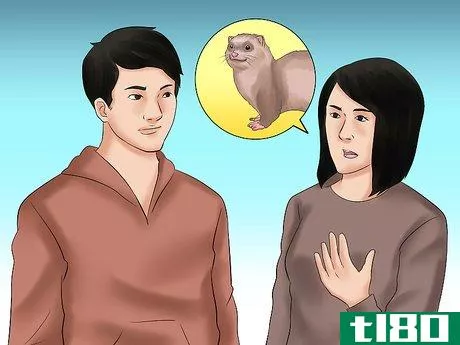 Image titled Decide if a Ferret Is the Right Pet for You Step 10