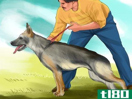 Image titled Decide Whether to Get a German Shepherd Step 9