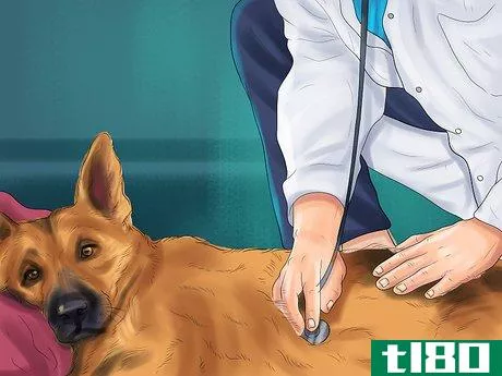 Image titled Decide Whether to Get a German Shepherd Step 5