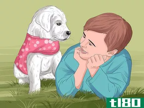 Image titled Decide Who Gets the Pet in a Divorce Step 5