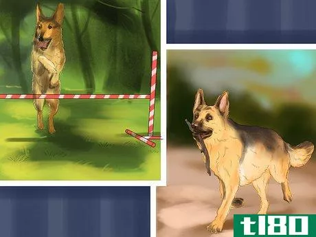 Image titled Decide Whether to Get a German Shepherd Step 1