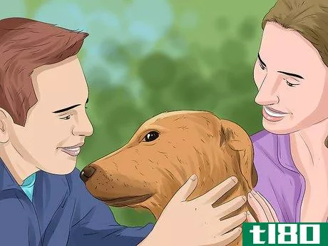 Image titled Decide Who Gets the Pet in a Divorce Step 8