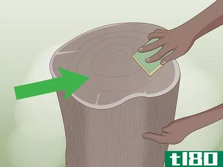 Image titled Decorate Tree Stumps Step 11