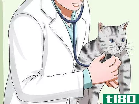 Image titled Diagnose Feline Upper Respiratory Illness Step 8
