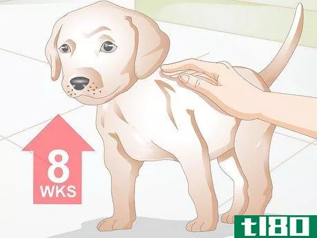 Image titled Determine the Proper Frontline Plus Dosage for Dogs Step 5