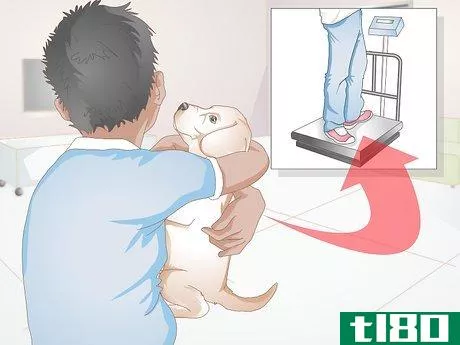 Image titled Determine the Proper Frontline Plus Dosage for Dogs Step 2