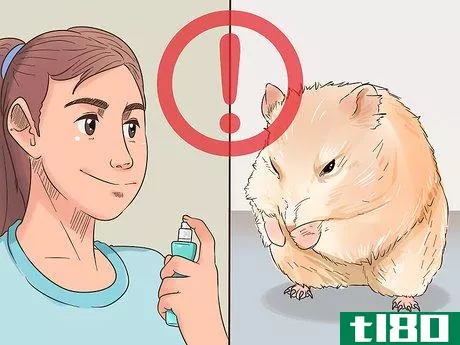 Image titled Diagnose and Treat Allergies in Hamsters Step 2