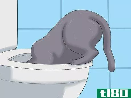 Image titled Diagnose Kidney Failure in Cats Step 3