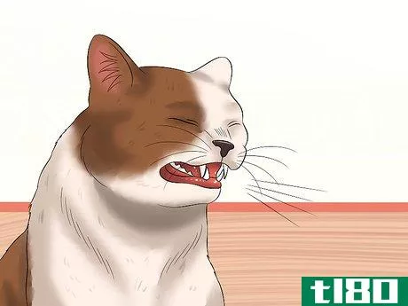 Image titled Diagnose Feline Upper Respiratory Illness Step 2