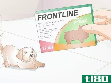 Image titled Determine the Proper Frontline Plus Dosage for Dogs Step 7