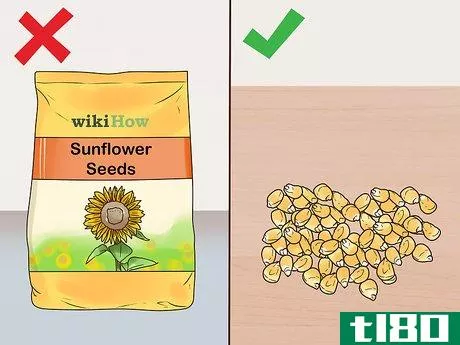 Image titled Diagnose and Treat Allergies in Hamsters Step 4