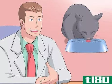 Image titled Diagnose Kidney Failure in Cats Step 18