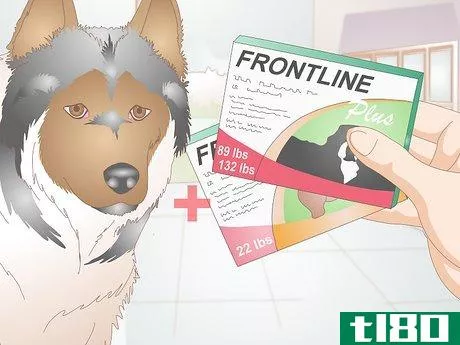 Image titled Determine the Proper Frontline Plus Dosage for Dogs Step 8