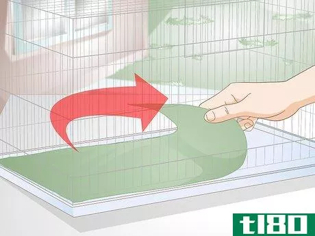 Image titled Disinfect a Finch Cage Step 10