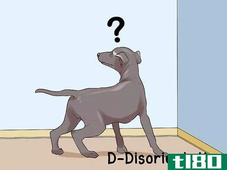 Image titled Diagnose Cognitive Dysfunction in Senior Dogs Step 1