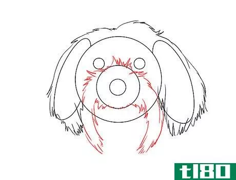 Image titled Draw a Cute Maltese Dog Face Step 8