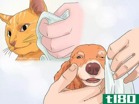 Image titled Eliminate Tear Stains on Cats and Dogs Step 1