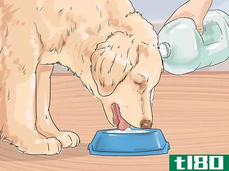 Image titled Eliminate Tear Stains on Cats and Dogs Step 7