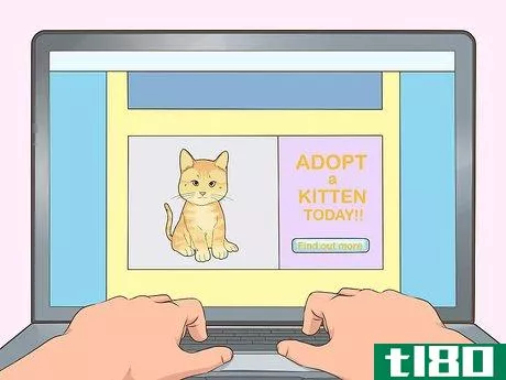 Image titled Find Homes for a Litter of Kittens Step 10
