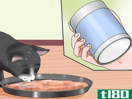 Image titled Feed Kittens Step 14