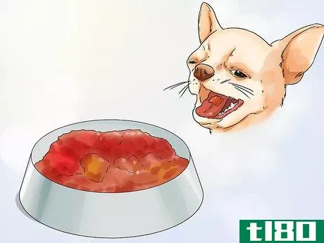 Image titled Feed Chihuahua Dogs Step 5