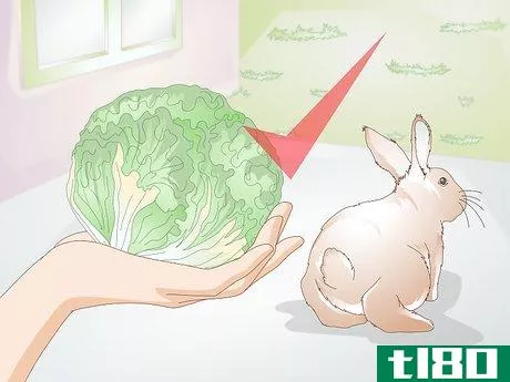 Image titled Feed Greens to Your Rabbit Step 5