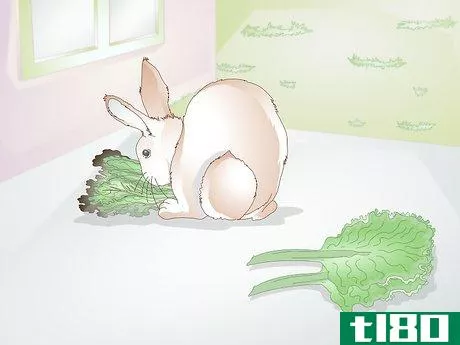 Image titled Feed Greens to Your Rabbit Step 6