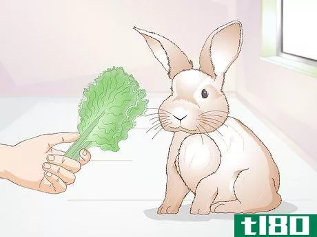 Image titled Feed Greens to Your Rabbit Step 3