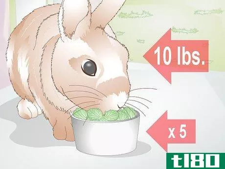 Image titled Feed Greens to Your Rabbit Step 9