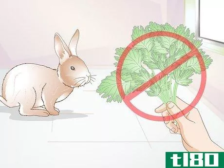 Image titled Feed Greens to Your Rabbit Step 4