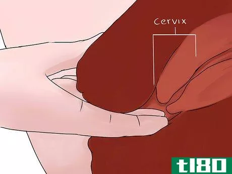 Image titled Feel Your Cervix Step 4