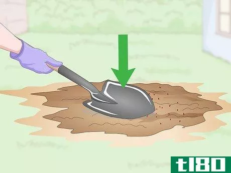 Image titled Get Rid of an Ant Hill Step 14