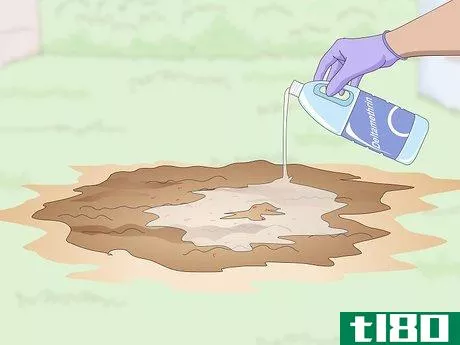 Image titled Get Rid of an Ant Hill Step 11