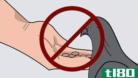 Image titled Get Rid of Pigeons Step 4