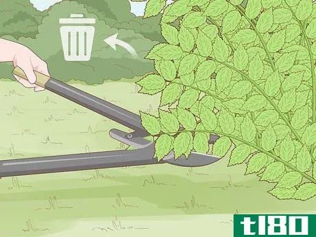 Image titled Get Rid of Poison Ivy Plants Step 4