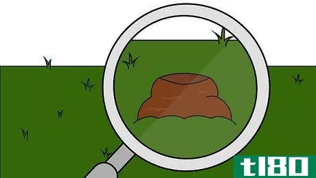 Image titled Get Rid of Moles in Your Garden Step 1