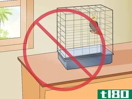 Image titled Get Your Cockatiel to Stop Laying Eggs Step 3