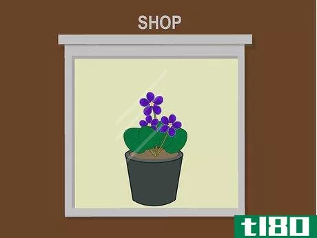 Image titled Grow African Violets Indoors Step 01