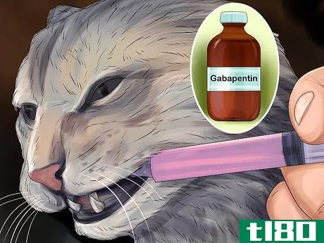 Image titled Give Gabapentin to Cats with Cancer Step 1