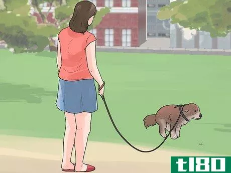 Image titled Give a Dog an Enema Step 19